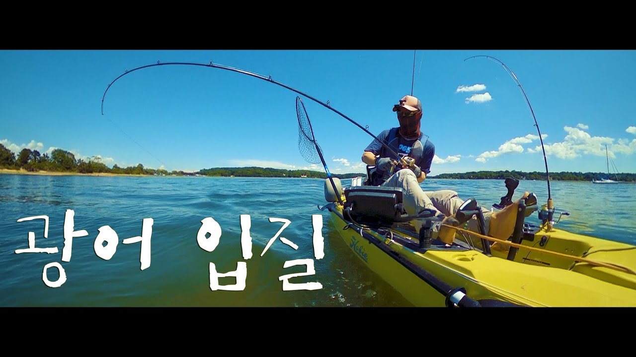 Kayak Fishing Fluke 카약낚시 광어 YouTube