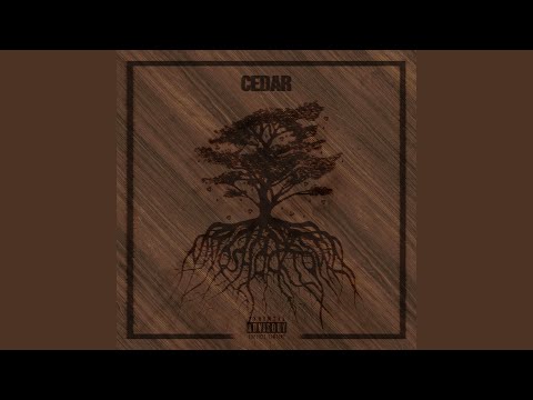 Video: Cedar-kumi Setriöljyllä 