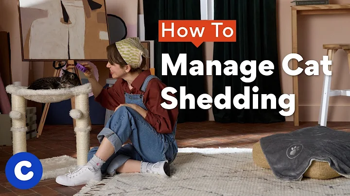How To Manage Cat Shedding | Chewtorials