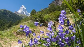 Peaceful music, Relaxming Music, Insturmental music "The Swiss Alps" by Tim Janis