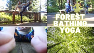 Forest Bathing Yoga | ROSE KELLY Prenatal Yoga |