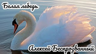 Белая лебедь - Алексей Беспрозванный