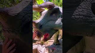 Kemer Dinopark Antalya Göynük