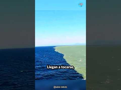 Video: ¿Qué dos países bordean el golfo de Botnia?