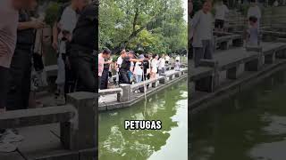 petugas keamanan dilengkapi peralatan pengambil ponsel bila ada ponsel pengunjung jatuh