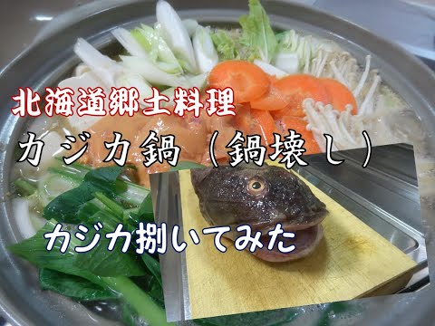 カジカを捌いてみた 北海道の郷土料理 カジカ鍋 鍋壊し カジカの子醤油漬け ある日の夕食９９ Youtube