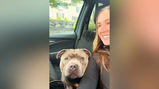 Work Comes First Around Here Resimi