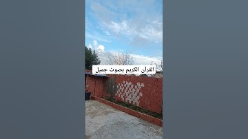 القرآن الكريم بصوت جميل #الشيخ #القارىء #القران_الكريم #اكسبلور #عبدالرحمن_مسعد