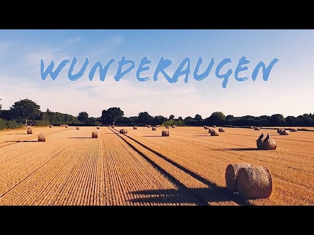 Die Junx - Wunderaugen