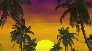 Summer Palm Trees Sunset Background 4K Vj Loop Video No Copyright Motion Loop Video