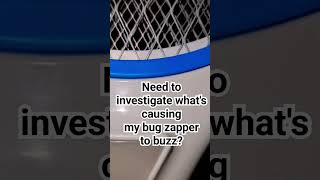 Bug Zapper Buzz