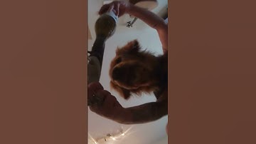 Coravin Pivot Wine Preservation System