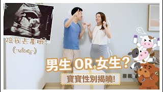 【懷孕日記】陪我去產檢～寶寶性别公佈😎Baby Gender Reveal Vlog