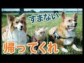 【ヤバい飼い主】訪ねてきた知人に、人が苦手だと打ち明ける