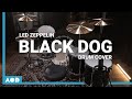 Black Dog - Led Zeppelin | Drum Cover By Pascal Thielen