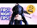 First Night with NEW PUPPY! 🤗 How to Survive Your First Day Home