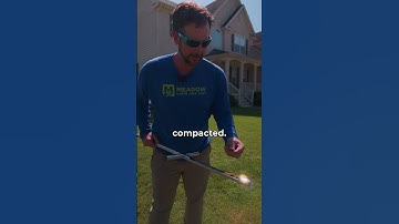 How to Fix Compacted Lawn Soil?