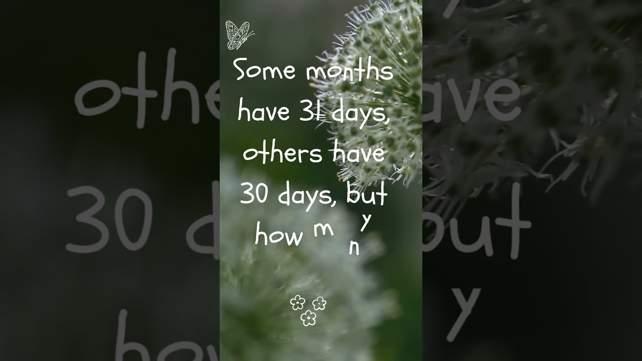 Some months have 31 days, others have 30 days, but how many have 28 days? 