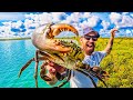 HUGE Blue Water MUD CRAB || TROPICAL Coconut Curry CRAB Cook Up