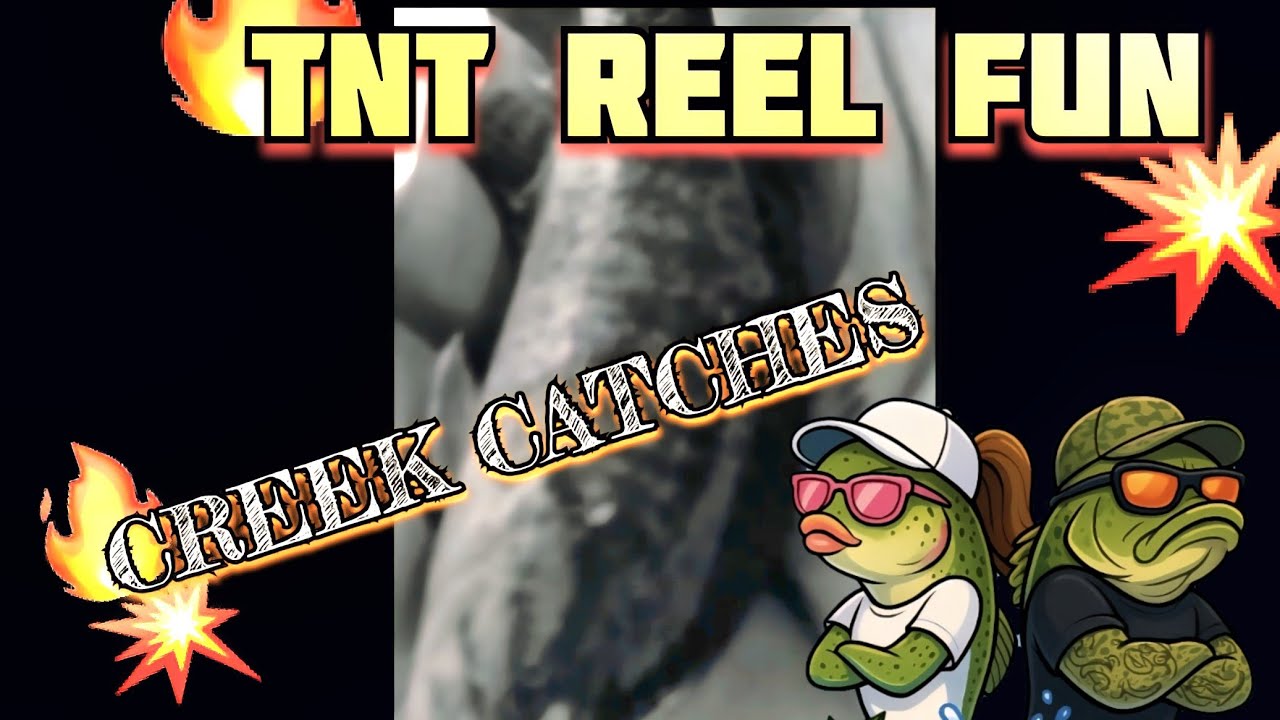 TNT REEL FUN -Episode 1 Creek Titans