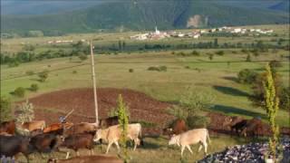 KÖYÜM SANA DOYAMADIM BİR TÜRLÜ ŞİİR DURSUN ELMAS Resimi