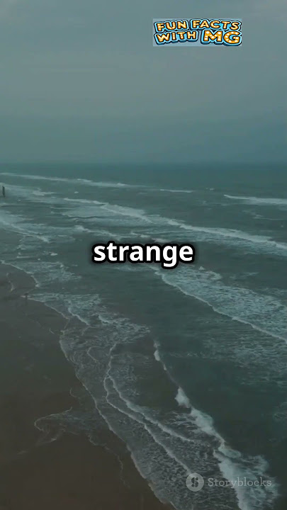 The Mysterious Vanishing Beach That Disappears and Reappears! 🌊🏝️