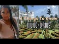 6 Things You Need to Know | DETAILED FOOD REVIEW | RIU OCHO RIOS