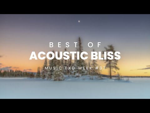 Acoustic Bliss: Chilling Mix 2024 | Week #37