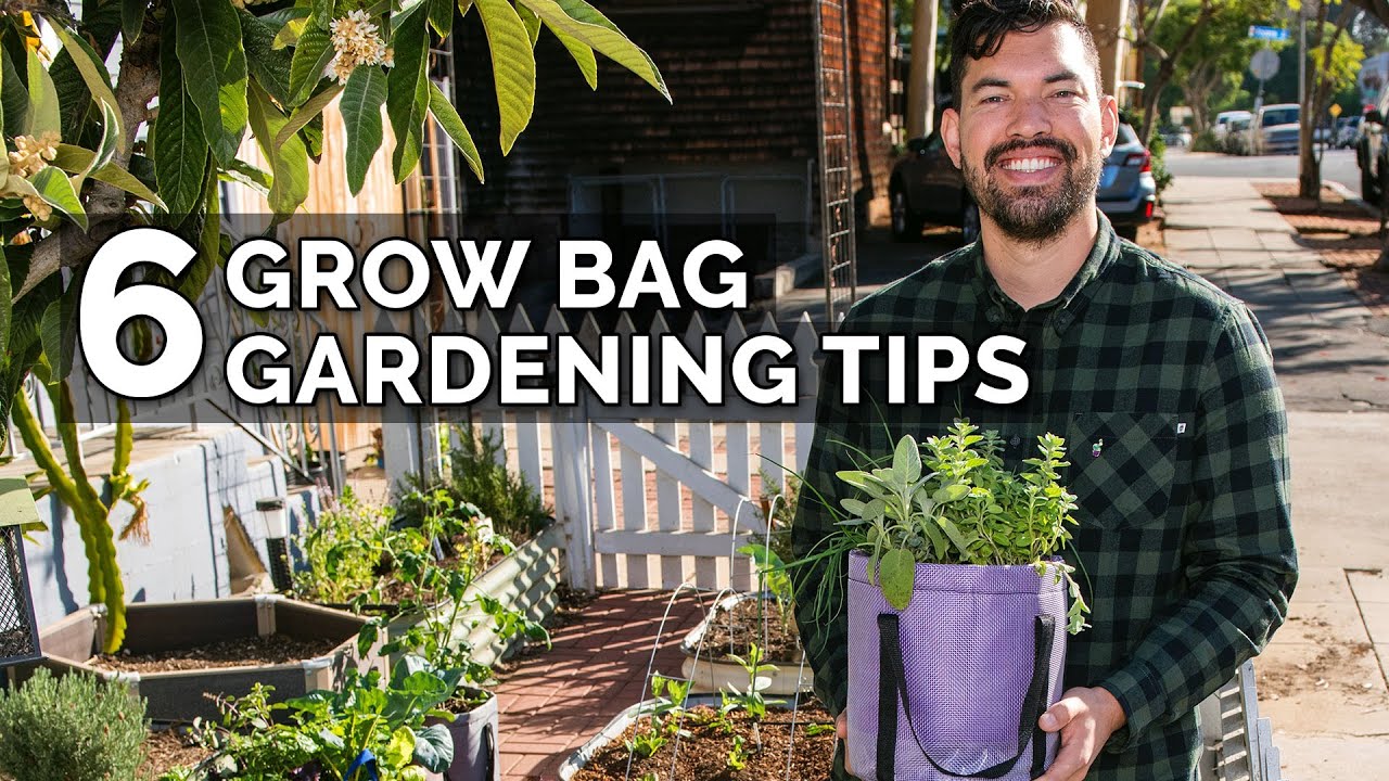 6 Secret Grow Bag Techniques to Maximize Your Results - YouTube