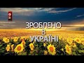 Зроблено в Україні. Як заробляють на потужних українських вітряках