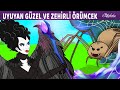 Uyuyan Güzel ve Zehirli Örümcek | Adisebaba Masallar