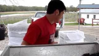Rosedale Vineyards - Crushing Malbec grapes