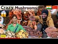 Inside Largest Mushroom Market Of China 🇨🇳 | Ep#07