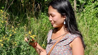 [ASMR] Natural Herbal Medicine Part 1: Picking Medicinal Flowers and Plants 🌼 screenshot 4