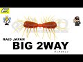 BIG 2WAY 【RAID JAPAN】 水中アクション映像