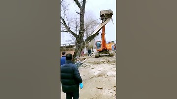 The process of clearing trees - good machinery can increase efficiency