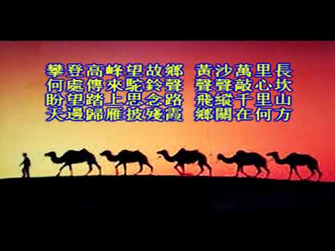 夢駝鈴   歌曲