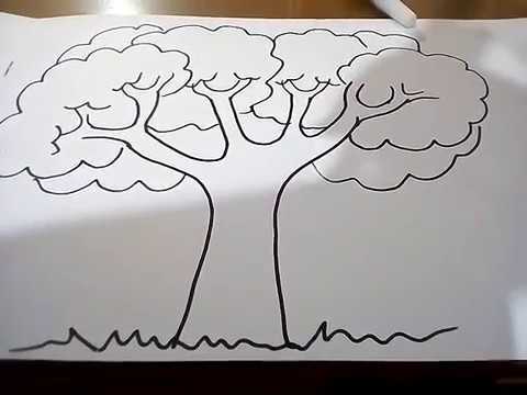 Cara menggambar pohon untuk anak SD YouTube