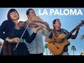 Video thumbnail of "LA PALOMA - INKA GOLD feat TERESA JOY"