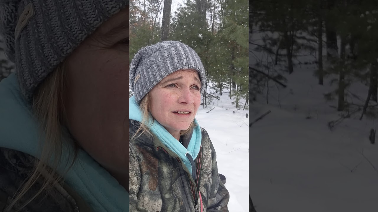 Nature therapy after sentencing of serial predator.