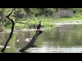 Lake Panic bird hide near Skukuza in Kruger National Park, tranquility epitomized.