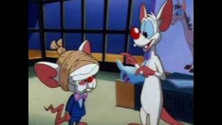 Best of Pinky