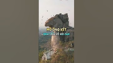 Hiện Tượng Mỏ Ông Két Quay Đầu Về Núi Cấm? Dấu Hiệu Tâm Linh Vùng Thất Sơn | Review An Giang