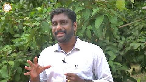 DOMUSCAT | CLASS 7 | CHAPTER 4 | PART 2| ERNAKULAM-ANGAMALY ARCHDIOCESE/ SUNDAY SCHOOL CATECHISM