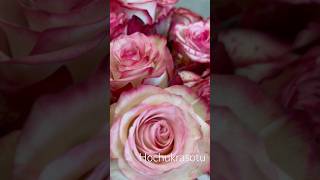 Суета 🌸🤍 #кольцоизбисера #серьгиизбисера #halhal #madewithlove #pinterestjewelry #cutejewelry