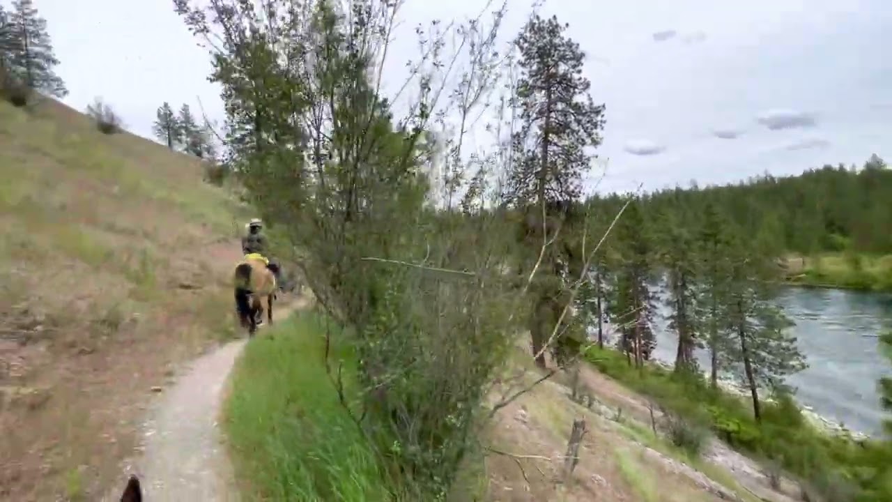 Exploring the trails above Spokane River. Riverside State Park