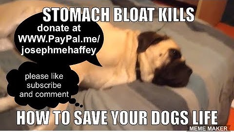 Procedure to Reverse Bloating Onset in dogs
