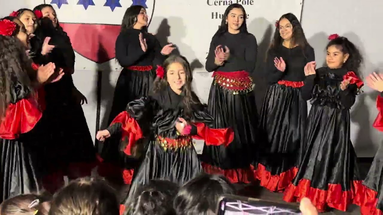 SALUT ROMA PRO SEBASTIANA CHROMÉHO Z BRNA