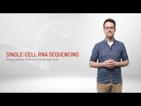 Explore Cellular Diversity at Single-Cell Level