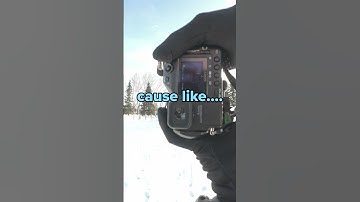 See the World Differently: Why Infrared Photography Is the Ultimate Vibe #photography